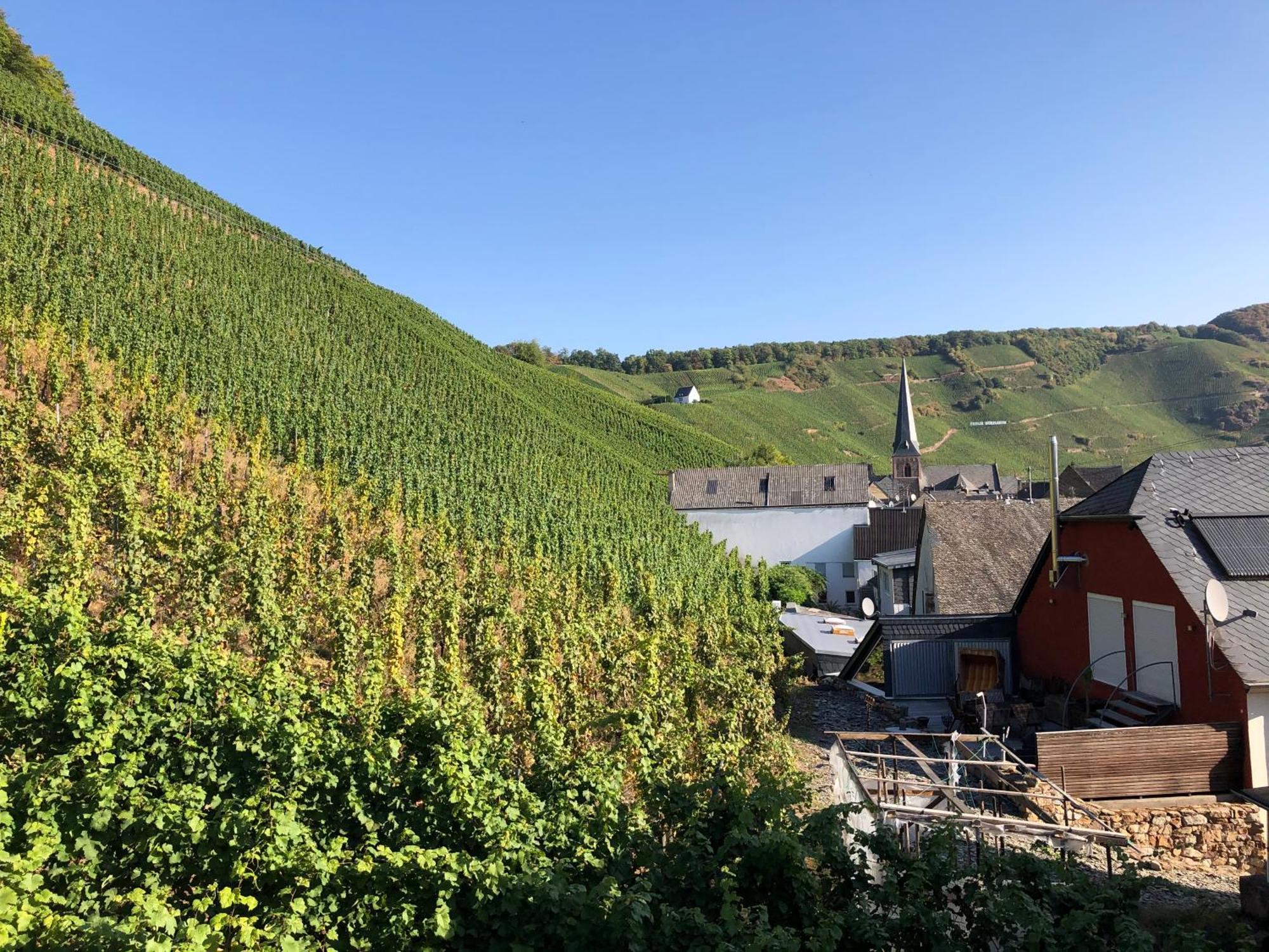 Hotel Zur Traube Uerzig Bilik gambar